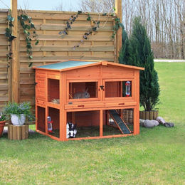 Trixie Natura Kleintierstall XL aus Holz für Kaninchen und Meerschweinchen in Braun mit 2 Etagen – Bild 1 von 8
