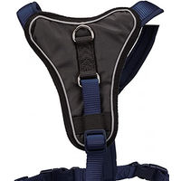 Produktbild von Trixie Premium Y-Geschirr für Hunde aus Neopren in Blau Größe XL