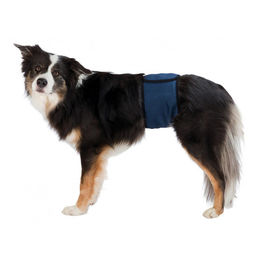 Trixie Rüdenwindel Unterbauchgürtel für Hunde aus Mesh in Blau Größe XL – Bild 1 von 9