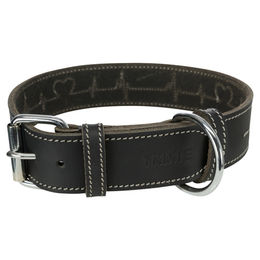 Trixie Rustic Heartbeat Hundehalsband aus Leder Schwarz Größe S-M 34-40 cm – Bild 1 von 8