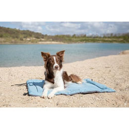 Trixie Samoa Classic Reisedecke für Hunde als Autoschondecke aus Polyester, Blau/Grau, 120 x 80 cm - 1 Stk. – Bild 1 von 6
