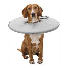 Trixie Schutzkragen für Hunde aus Polyester und Schaumstoff grau Größe L 46-49 cm - 1 Stk. – Bild 1 von 5