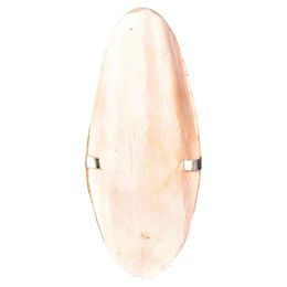 Produktbild von Trixie Sepiaschale mit Halter für Vögel aus Naturmaterial in Beige