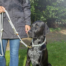 Trixie Soft Rope Zug-Stopp Erziehungshalsband für Hunde aus Seil Rosa Größe S-M – Bild 1 von 3