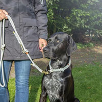 Produktbild von Trixie Soft Rope Zug-Stopp Erziehungshalsband für Hunde aus Seil Rosa Größe S-M