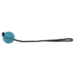 Produktbild von Trixie Sportball am Seil aus Gummi Türkis 24 Stück - 1 Stk.
