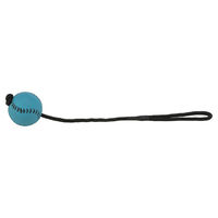 Produktbild von Trixie Sportball am Seil aus Gummi Türkis 24 Stück - 1 Stk.