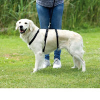Produktbild von Trixie Stay Sicherheitsgeschirr für Hunde aus Neopren Schwarz XS-S