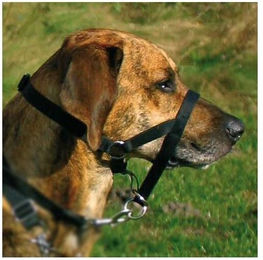 Trixie Top Trainer Ausbildungsgeschirr für Hunde in Schwarz Größe M – Bild 1 von 3