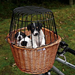 Trixie Weiden-Fahrradkorb für Hunde in Natur Braun – Bild 1 von 13