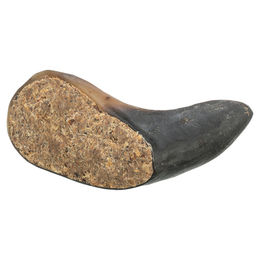 Produktbild von Trixie Zahnpflege-Snack Büffelhorn Monoprotein für Hunde