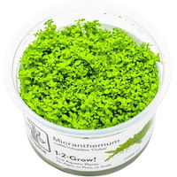 Produktbild von Tropica Micranthemum callitrichoides Cuba Lebende Aquarienpflanze