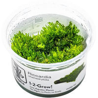 Produktbild von Tropica Riccardia chamedryfolia Moospflanze für Aquarien