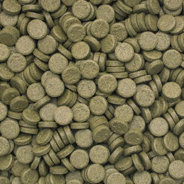Tropical 3-Algae Tablets A Fischfutter für Fische und Krebse 2 kg - 2 kg – Bild 1 von 3
