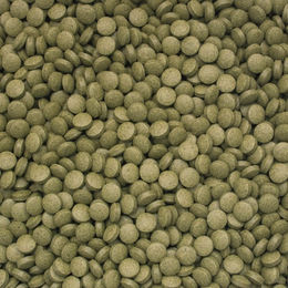 Tropical 3-Algae Tablets B pflanzliche Fischfuttertabletten 2kg – Bild 1 von 1