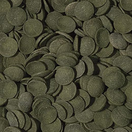 Tropical Fischfutter Green Algae Wafers mit Algen für Welse und Bodenfische 5 kg - 5 l – Bild 1 von 6
