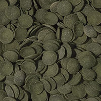 Produktbild von Tropical Fischfutter Green Algae Wafers mit Algen für Welse und Bodenfische 5 kg - 5 l