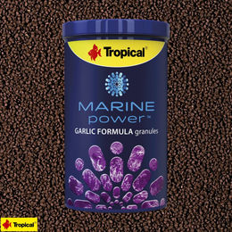 Tropical Marine Power 30% Garlic Formula Granulat für Meerwasserfische 1000 ml - 1000 ml – Bild 1 von 2