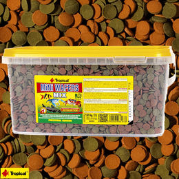 Tropical Mini Wafers Mix Chips für Bodenfische Welse und Krebse 3 Liter – Bild 1 von 4