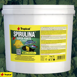 Tropical Super Spirulina Forte Flockenfutter für Fische mit 36% Spirulina Anteil 5L - 5 l – Bild 1 von 4