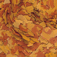 Produktbild von Tropical Vitality Color Flakes farbverstärkendes Flockenfutter für Süßwasserfische 11 Liter - 11 l