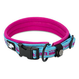 TrueLove Hundehalsband aus Nylon mit Neopren-Unterlegung Blau/Pink Größe XS – Bild 1 von 1