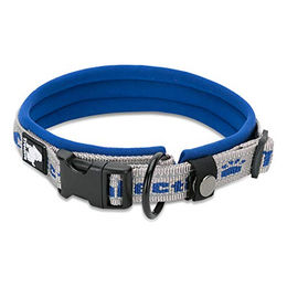 TrueLove Hundehalsband aus Nylon mit Neopren-Unterlegung Grau/Blau Größe L – Bild 1 von 3