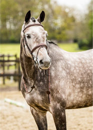 Produktbild von Trust Amsterdam Trense aus Leder für Vollblut in Schwarz oder Braun