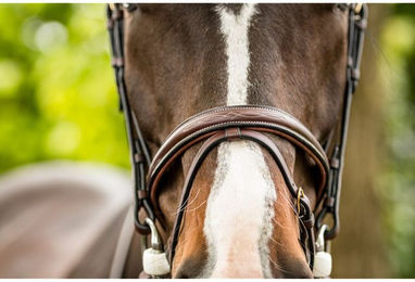 Trust Calgary Trense englisch kombiniert aus Leder in Braun mit Silber für Warmblut – Bild 1 von 7