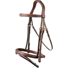 Trust Equestrian Calgary Kombinierte Englisch Trense aus Leder in Braun/Gold für Vollblut – Bild 1 von 5