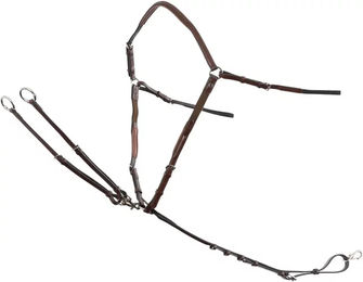 Trust Equestrian Jagdhalsband für Pferde Athens – Bild 1 von 1