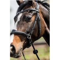 Produktbild von Trust Falsterbo Tmotion Trense kombiniert aus Leder für Warmblut in Schwarz oder Braun