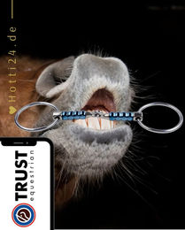 Produktbild von TRUST Gebiss Sweet Iron Wassertrense aus Edelstahl Silber 1,6 cm
