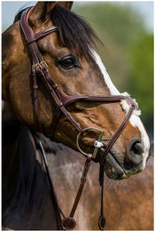 Produktbild von Trust Oslo Mexican Trense aus Leder anatomisch für Vollblut in Schwarz oder Braun