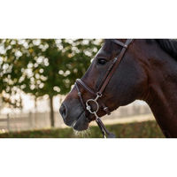 Produktbild von Trust Trense Hamburg aus Leder mit Zügeln für Warmblut Pferde