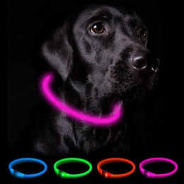 TUWENA LED Leuchthalsband für Hunde USB aufladbar und wasserdicht mit 3 Beleuchtungsmodi für kleine mittlere und große Hunde – Bild 1 von 4