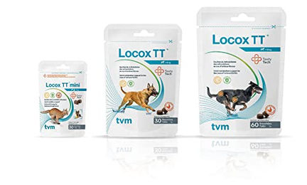 TVM Tiergesundheit Locox TT Gelenk- und Haut-Fell-Supplement für Hunde mit 30 Tabletten – Bild 1 von 2
