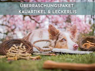 Produktbild von Überraschungstüte Geflügel 500g - 500 g