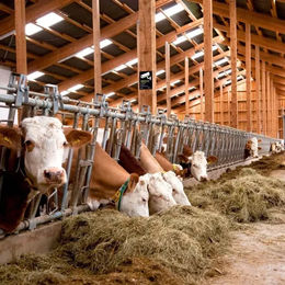 Produktbild von Überwachungskamera Warnschild Horizont