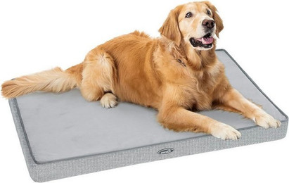 Produktbild von UE Stock Hundebett Hundekissen für mittlere Hunde bis 25 kg