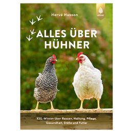 Produktbild von Ulmer Alles über Hühner von Hervé Husson