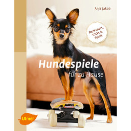 Produktbild von Ulmer Hundespiele für zu Hause
