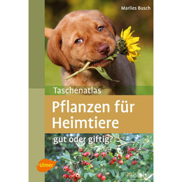 Produktbild von Ulmer Pflanzen für Heimtiere
