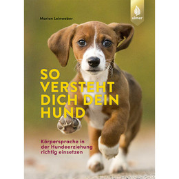 Produktbild von Ulmer So versteht dich dein Hund