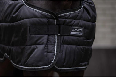 Produktbild von Unterdecke für Pferd Lami-Cell 200g