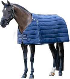 Produktbild von Unterdecke für Pferd LeMieux Kudos 350g