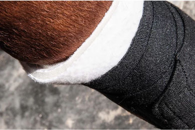 Produktbild von Unterlage für Pferd aus Schaumstoff Vorderseite T de T