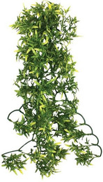 Produktbild von Unterschlupf für Reptilien Komodo Croton Plant