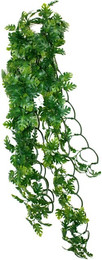 Produktbild von Unterschlupf für Reptilien Komodo Split Philodendron Plant