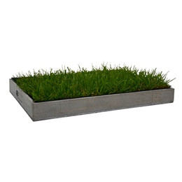 Produktbild von UNUS Katzengras mit Holztablett 40x30 cm - 1 Stk.